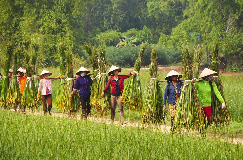 water hyacinth basket manufacturer Vietnam wholesale production